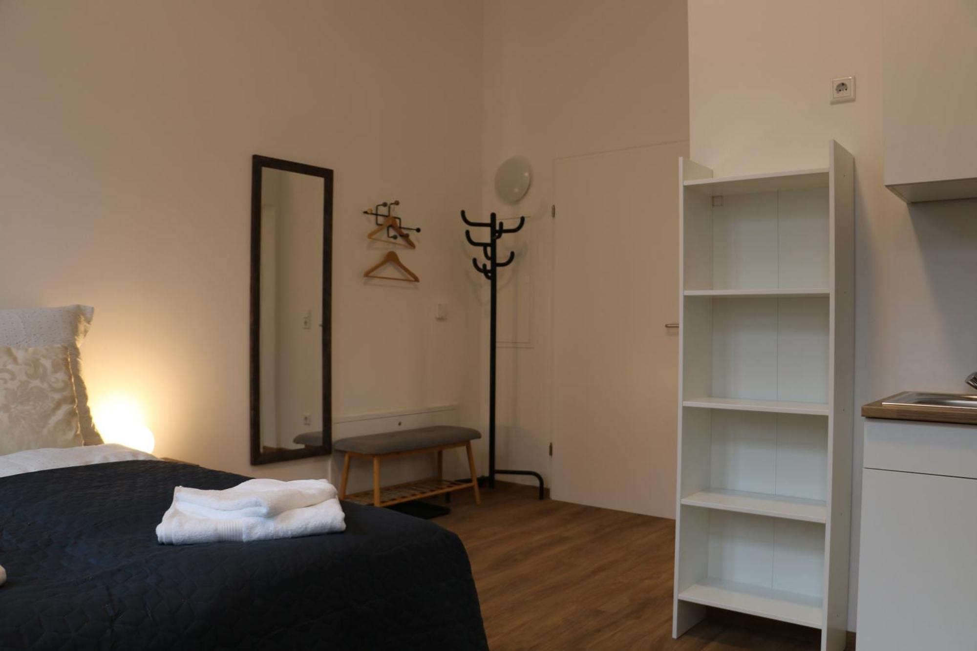 River View Apartment Wohnen Am Fluss Linz Buitenkant foto