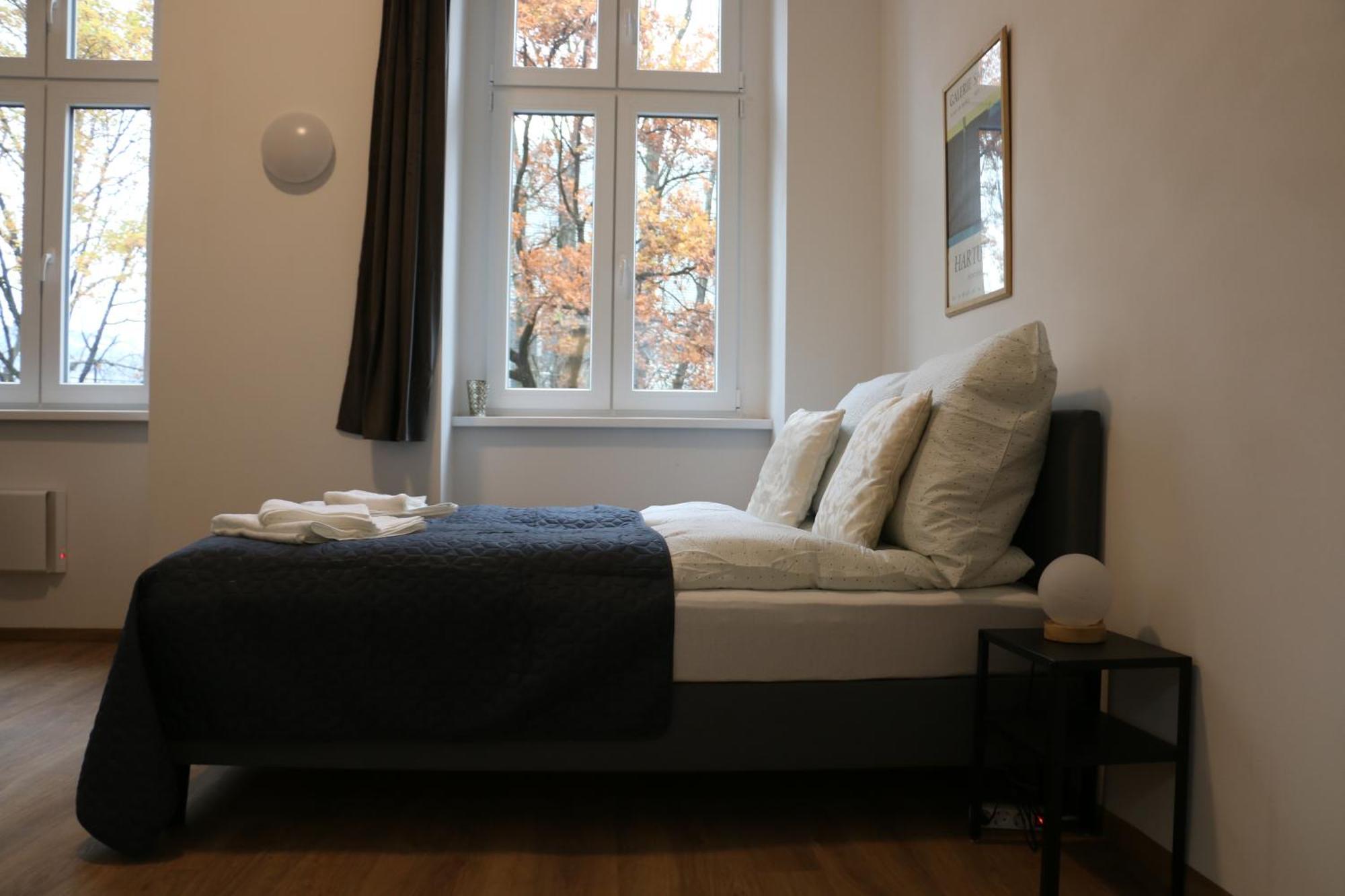 River View Apartment Wohnen Am Fluss Linz Buitenkant foto