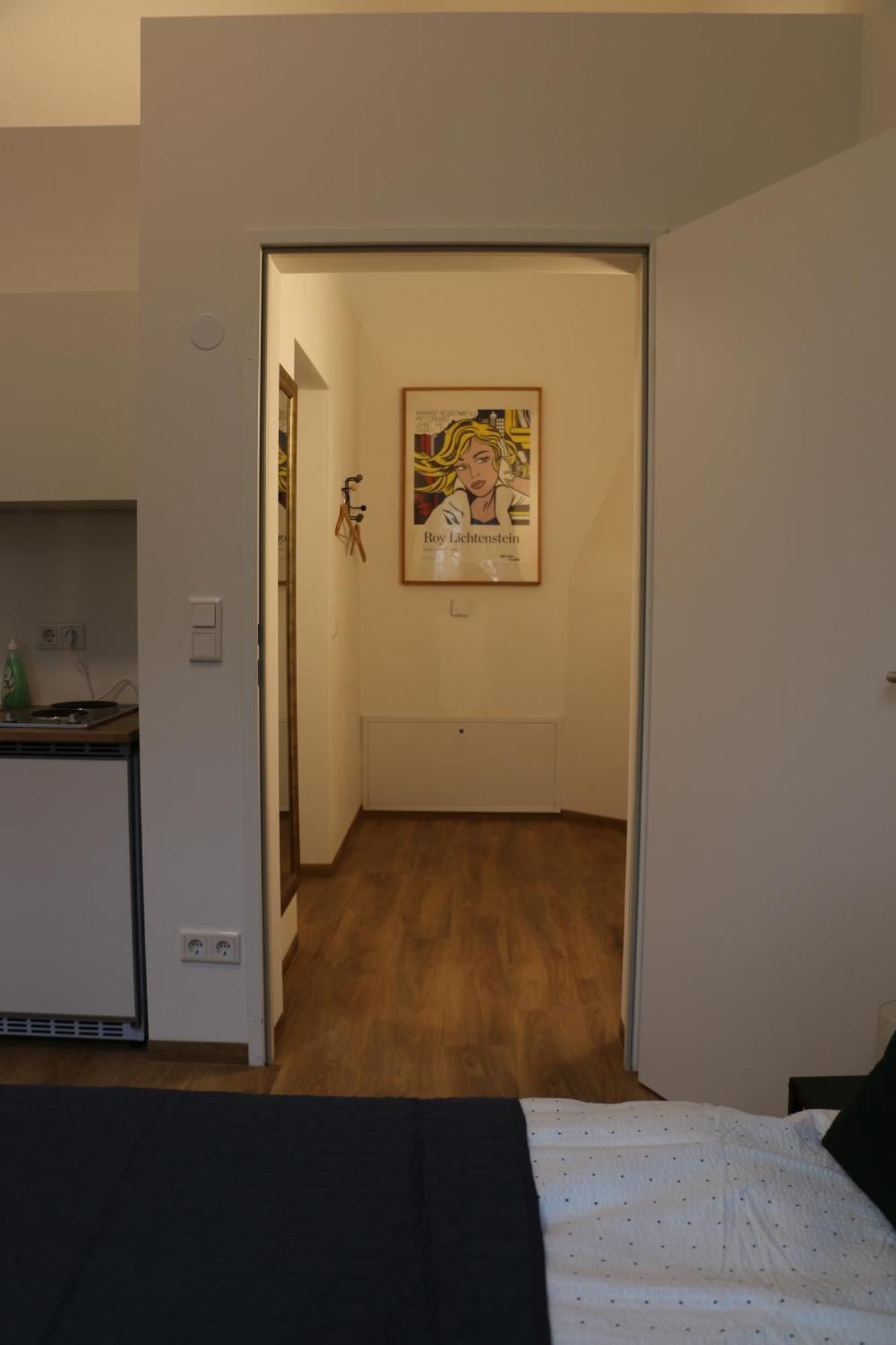 River View Apartment Wohnen Am Fluss Linz Buitenkant foto